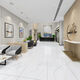 Foshan, Guangdong, Guangdong, baldosas de mármol 600x1200 Living Soom Flay Tiles Milky White Bathing Baño de pared White 600*1200