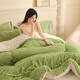 Arctic velvet quilt core thickened to keep warm lamb velvet winter quilt student dormitory single quilt plus double home cover quilt beautiful - bean green [double-sided velvet quilt] 150x200cm6Jin [Jin equals 0.5 kg] (winter quilt)
