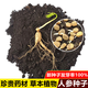 Changbai Mountain ginseng seeds, wild ginseng seeds, easy to grow Chinese medicinal materials in all seasons, easy to live indoor flower pots, ginseng seeds, shipped without buds, big sale, 3 bags selected, about 156 capsules