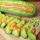 Dayu Boyang No. 9 melon seed seedlings collection, honeydew melon, eight-mile crispy melon seed old variety, 20 grafted horn honey melon seedlings
