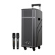 HiVi outdoor square dance karaoke audio home KTV trolley speaker karaoke all-in-one machine Bluetooth connection professional musical instrument stage grade dual 10-inch bass MP210