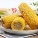 Good Farmer Inner Mongolia yellow waxy corn on the cob 8 bags*220g, soft and waxy, sweet, vacuum-locked, straight from the source, gift box