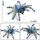 Simuliertes Gummi-Spinnen Neue Halloween Streichspielzeug simulierte Spinnengiftspinnen-Spinneninsekten-Tiermodell Kinderspielzeug Plastik Ornamente Geschenk Ox-683 Brasilianer Blue Bird-Catch-Spinne [0,017 kg]