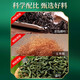 北京同仁堂玉米须茶青钱柳玉米须桑叶茶 菊花三决明子茶葛根荷叶山楂养生茶150g/5g*30袋 5盒家庭装