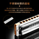 SEYDEL德国进口SEYDEL赛德 十孔10蓝调成人口琴 1847 CLASSIC 10孔G调