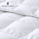 Ritz-Carlton Hotel White Goosevelt Quilt Core Herbst und Winter Down Quilt Single und Double Winter Dicked warme Quilt reines Baumwollfeder und Herbst 220x240 cm (für 1,8 m Bett) 1478G Herbst- und Wintermodell