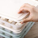 LOCK&LOCK frozen dumpling box set plastic crisper refrigerator refrigerated wontons 21 compartments * 2 storage boxes