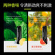 Sakose Cooling Skin Awakening Nasal Tong Stick Upgraded 2-pack 4ml refreshing and anti-drowsy driving brain mint device