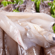 Chilled red squid 250g (6-10 pieces)