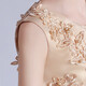 Dev Ake Kinderkleid Girl Prinzessin Rock Moderatorin High-End Piano Performance Evening Kleid Little Girl Hochzeit Sommer Big Boy BX683 Langarmer Champagnerfarbe 120 (Empfohlen 34-40 Jin [Jin gleich 0,5 kg])