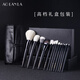 AOLANLA Master Ink Shadow 13 Makeup Brush Set Foundation Eyeshadow Brush Beauty Tools Gift Box Christmas Gift for Wife
