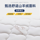Стимул матрас Simmons Spring Mattress Latex Coconut Palm Mattress 20 см толщиной двойной аренды Двойной экономный