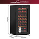 HOMESUN red wine cabinet constant temperature embedded wine cabinet constant temperature wine cabinet home constant temperature and humidity living room constant temperature wine cabinet small cigar cabinet tobacco and wine tea cabinet 28-pack constant temperature (40% customer choice) 28 bottles