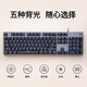 罗技（Logitech）K845机械背光键盘商务办公键盘电竞游戏键盘全尺寸有线键盘 K845 TTC青轴