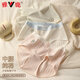 Yalu 2025 Neues pures Baumwollunterwäsche für Frauen reines Baumwollschritt 7A Antibakterielles Mädchen Einfache und komfortable mittlere Taillen-Mädchen-Slips [Yuanqi-Käse] gemischte Farbe 4 Streifen xl [Gewicht vorschlagen 115-130jin [Jin gleich 0,5 kg]]]