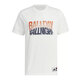 Adidas short-sleeved T-shirt for men 2025 summer new sportswear loose breathable round neck shirt casual half-sleeved top JI9765 white L Recommended 155-175Jin [Jin equals 0.5 kg]
