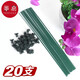 Support de plante Fanyi Support B1zo Flower Flower Flower Phalaenopsis Support Stand Modeling Support Vines et Fleurs Plante Plant Plant Support de fer [40 cm] 10 + 10 Clips fixes