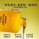 Pu Zhi Purzeal Mulin Sichuan Ingwer Anti-Verlust-Shampoo starke, feste und wütende Haarölkontrolle Flauschiger Shampoo 400 ml