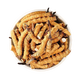 Área tibetana auténtica naqu Big Broken Grass Fresh Cordyceps sinensis Cordyceps de productos secos Auténticos Cordyceps sinensis Tíbet auténtico Naqu Stramos de carne entera de alta altitud 55 gramos