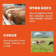 Henan Dabeinong 4% beef cattle premix calf fattening cattle feed rapid fattening and weight gain frame 20 kg/bag