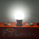 Foshan Lighting (FSL) LED bulb energy-saving lamp A60 bulb E27 large screw mouth 10W white light 6500K