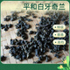 
Qiqin QI QIN TEA Pinghe Baibu Qilan Oolong Tea Geographical Indication Famous Tea Gift Box High-end Gift 25 Years New Tea Spring Tea Premium Gift Box-Gold Award