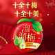 溜溜梅CNY系列十全十梅话梅酸梅子果脯西梅休闲零食 十全十梅显眼包695g 3袋
