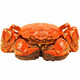 Live crabs, Yangcheng Jingyi hairy crabs, spot fresh large crabs, male and female crabs, seafood fresh gift boxes, male 4.0-4.3, two females, 3.0-3.3 pairs, 4 pairs, 8 pieces
