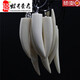 Congbutter Mammoth Teeth Pendant Necklace Pendant Women's Simple Temperament Mammoth Pendant Gift Bestie 3884#Specifications About: 10.5*41mm
