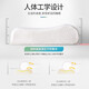Jiuzhoulu Kissen Latex Kissen importiert aus Thailand Natural Latex Kissen Halskissen Kern 35*55 cm
