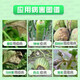 Syngenta Ruifan Diacetylenyl Bacillus Vegetable Pepper Potato Late Blight Grape Downy Mildew Pesticide Fungicide 10ml