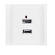 People's Electrical Appliances USB Socket Panel Specifications Two-digit USB Unit