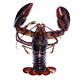 Fresh Boston lobster 400-500g/piece