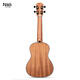 TOMTom Mermaid Ukulele Small Guitar Ukulele Beginner Musical Instrument 525C Spruce Vane 23 Inch