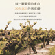 路易拉菲（LOUIS LAFON）法国原瓶进口红酒S92波尔多14度干红葡萄酒 750ml*2瓶送礼礼盒