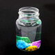 
Fu Children's Water Garden Diy Chemistry Primary School Students Silicate Nano-Growth Stone Magic Stone Science Experimental Toys Mold Randomly Dispatched