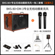 JOYO BSK-80 electric acoustic guitar singing speaker bass electric blowpipe folk music general live outdoor audio BSK-80+DM-03 one-to-two wireless microphone