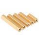 Bingneng brass isolation column copper hexagonal two-way copper column lengthened computer chassis motherboard support column through hole long nut mm M4*6 30 pcs