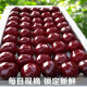 Zhixianwan cherry domestic cherry jjjj grade Dalian Meizao cherry black pearl seasonal fruit 2.5kg straight from the source