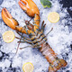 YOUDAO extra large Boston lobster fresh frozen imported Canadian lobster non-live seafood gift box 500-600g