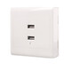 People's Electrical Appliances USB Socket Panel Specifications Two-digit USB Unit