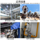 
Hti Auto Repair Negative Pressure Gauge Auto Repair Vacuum Gauge Differential Pressure Gauge Differential Pressure Gauge XinsiTe 1895 Engine Negative Pressure 1895[689KPa] Testing Waste Gas Valve Engine