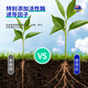 Tang Benchen Green Root Solution Hydroponic Plant Special Nutrient Solution Promotes Growth, Rooting and Strengthening Seedlings Potassium Fulvic Acid Fertilizer 3 bottles (buy 2 get 1 free)
