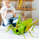 
Creation techniques remote control grasshopper electric toys little boys and girls Internet celebrity simulation can move insects, reptiles, small animals, children's pranks [Classic version - remote control centipede] Yellow and black model 9901+ screwdriver, equal size