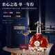 路易马西尼（Louis Marsyney）派斯顿法国进口洋酒XO白兰地40°烈酒礼盒装（原酒进口）秘密 单只装 700mL 1瓶
