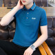 
JEEP SPIRIT Jeep Short Sleeve T-shirt Men's Half Sleeve Summer POLO New Large Size Business Young and Middle-aged Casual Paul Shirt Top 6636 Gray Green 2XL (145Jin[Jin is equal to 0.5 kg]-165Jin[Jin is equal to 0.5 kg])