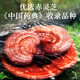 雷允上 九芝图有机破壁灵芝孢子粉48袋免疫力保健营养品术后恢复送长辈