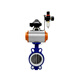 D671F-10Q Pneumatique Tetrafluorobutterfly Valve pneumatique Valve de papillons triple-claque 304 Plaque DN50 65 80 100 DN250 [Tetrafluoro Seal 304 Plaque]