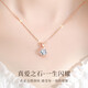 Shlessler Luxury Jewelry Chinese Valentine's Day Gift Necklace Women's High-end Jewelry New Style Birthday Pendant for Girlfriend (Brand Gift Box + SF Express) Snowflake Necklace