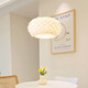 
Opuyuanxing Lamp Collection 2025 Living Room Bedroom Lights Dining Room Lamp Bedroom Chandelier 2023 New Nordic Internet Celebrity Creative 9272 White 35CM Three Colors
